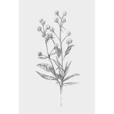 " Wild Stem I " by Annie Warren Painting Print