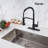 Rainlex Pull Down Kitchen Faucet