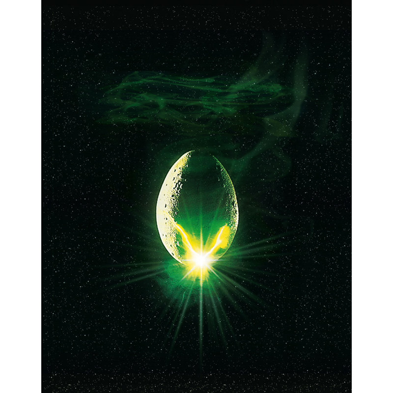 Extraterrestre, H 24 po x l 19 po