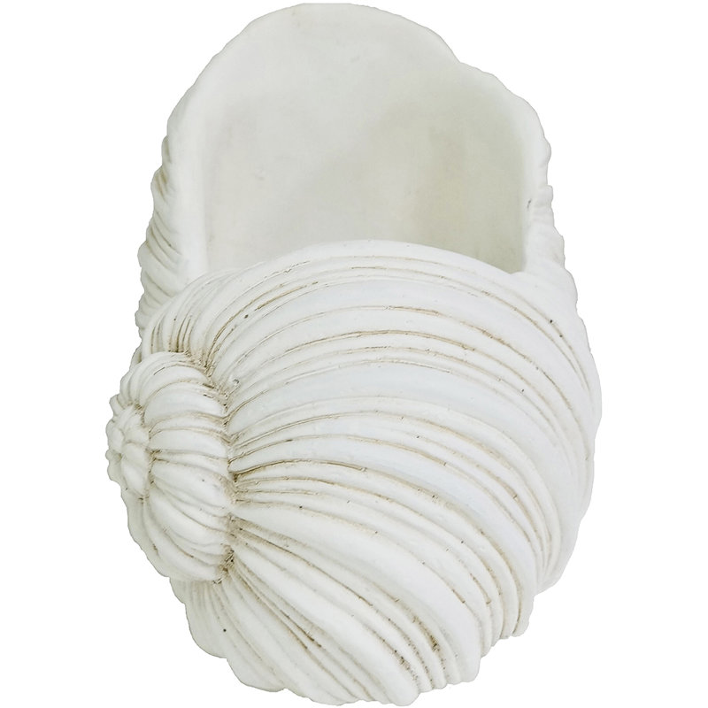7" Cement Nautilus Shell Planter