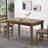 1 Piece Rectangular Dining Table Without Chair