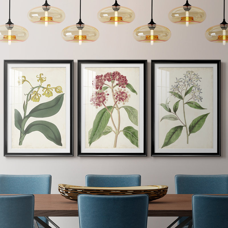 Antique Botanical Collection X - reproduction sur mesure encadrée de qualité supérieure - 3 pièces, H 19 po x l 27 po, Noir