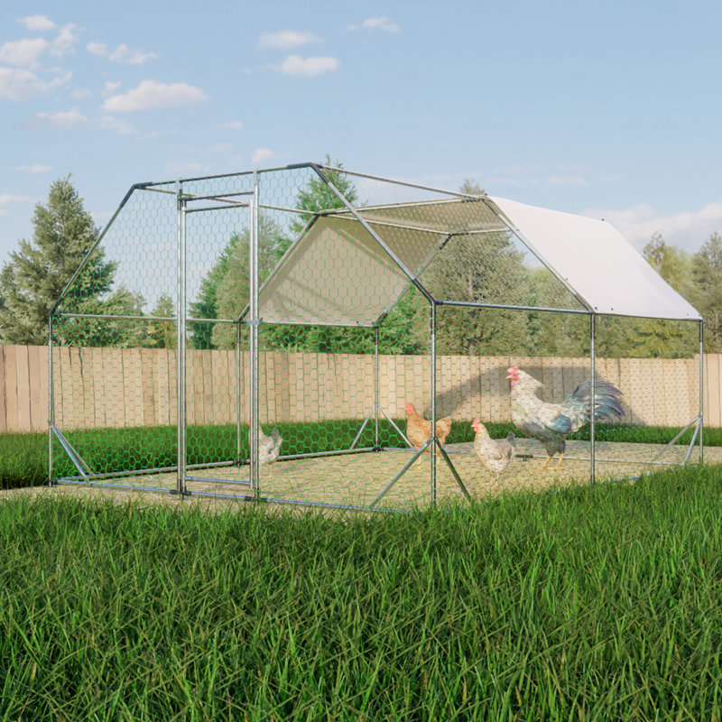 Grand poulailler en cage, H 76,32 po x l 154,08 po x P 119,28 po