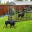 Grand chenil extérieur pour chien, cage pour chien robuste 4 x 4 x 6 pi-444316963