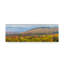 «Autumn in Vermont», reproduction d'impression sur toile tendue-31973953