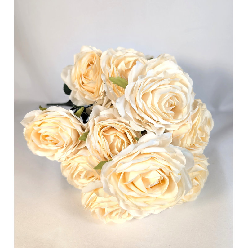 Roses du Sahara, Ivoire ivoire