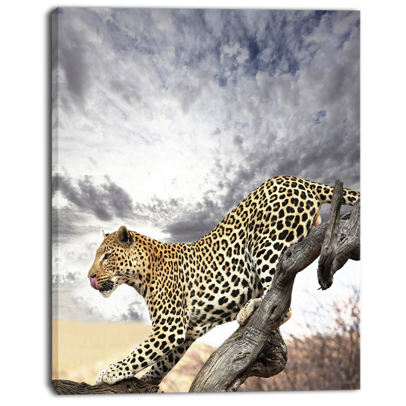 « leopard on tree under cloudy sky », reproduction de photo sur toile tendue, H 20 po x l 12 po x P 1po