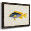 Collection de poissons tropicaux - Toile tendue avec châssis rustique - 2778376-96279509-96279515