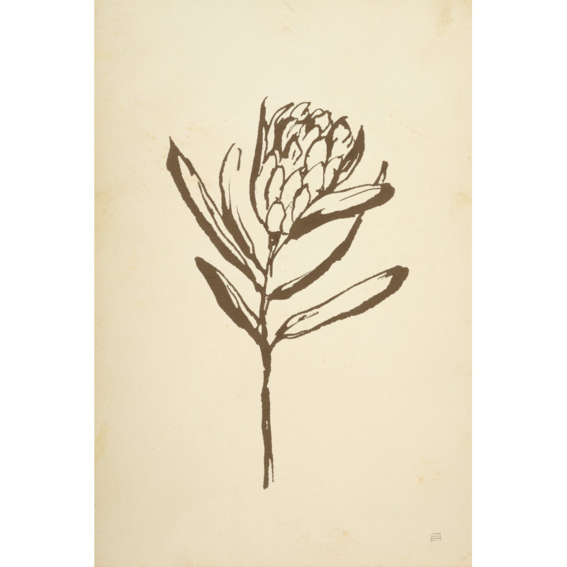 «Vintage Line Protea I» par Chris Paschke - impression, H 18 po x l 12 po, Toile tendue