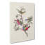 Painted Finches by John Audubon - Wrapped Canvas Painting-55366738