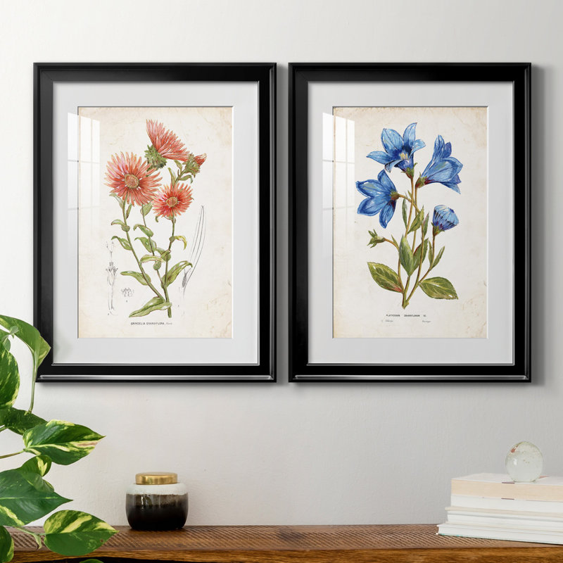 «Botanical I», ensemble de 2 reproductions d'art, Blanc, H 31,5 po x l 47 po x P 1,5 po, H 22,5 po x l 61 po x P 1,5 po