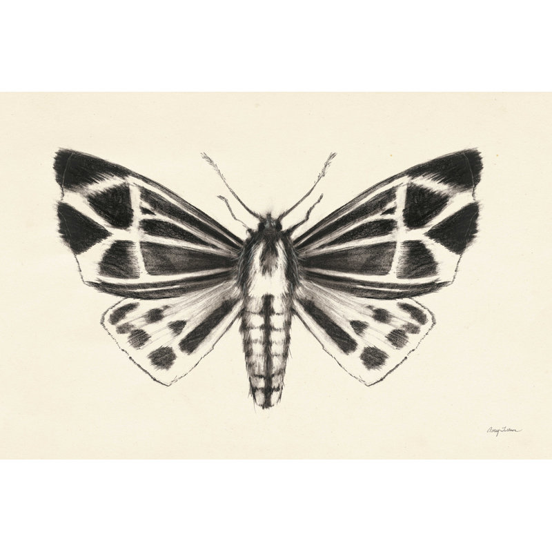 Moth III - peinture sur toile tendue, H 8 po x l 12 po