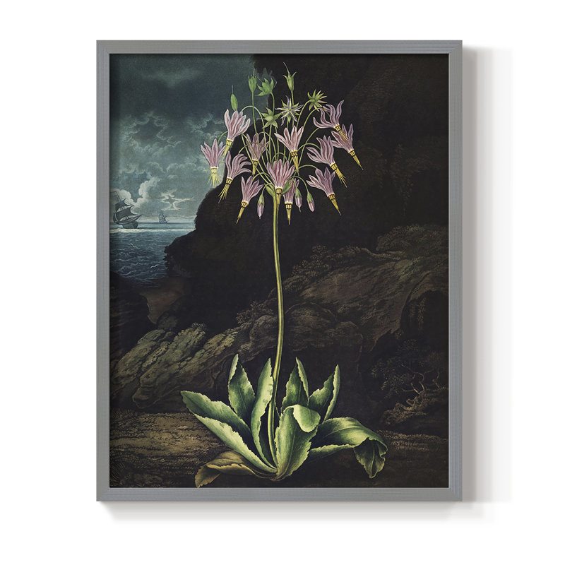 Temple of Flora II, reproduction encadrée - bois massif, H 10 po x l 8 po, Gris