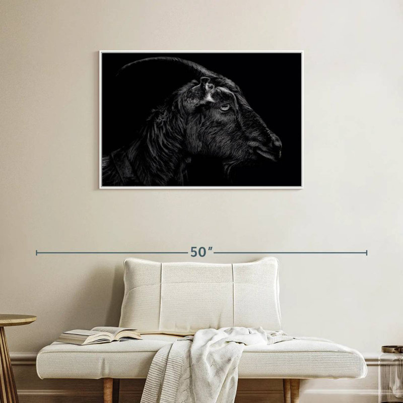 Monochrome Horned Goat, Floating Frame White, 37" X 25"