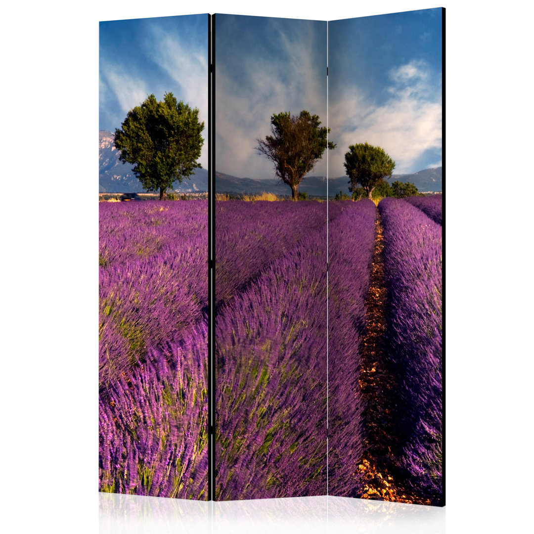 Paravent Lavender Field In Provence, France mit 3 Paneelen