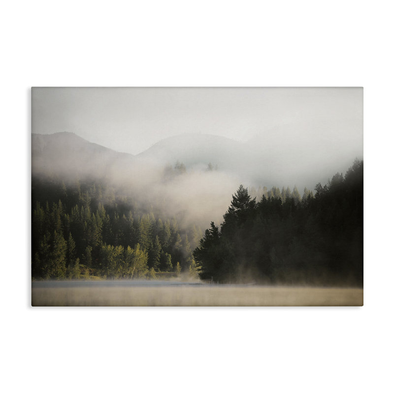 «Rolling Fog Woodland View», art mural sur toile par Carol Robinson, H 30 po x l 45 po