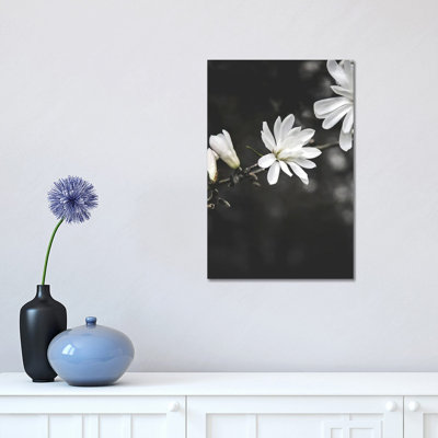 " White Flowers "