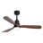 Kemp 52" 3 - Blade LED Modern Classic Ceiling Fan with Remote Control and Light Kit Included-2009111799