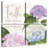 Tergel Abundant Blooms III