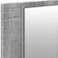 Dadrien 45cm H x 100cm W Wall Mounted Required Mirror Cabinet with LED Lighting-183499648