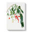 Visciola Cherry Tree by Giorgio Gallesio - Wrapped Canvas Painting-55370029