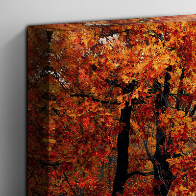 Fall Woofland Forest - Wall Art