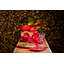 Tomato Earthenware Salad Bowl