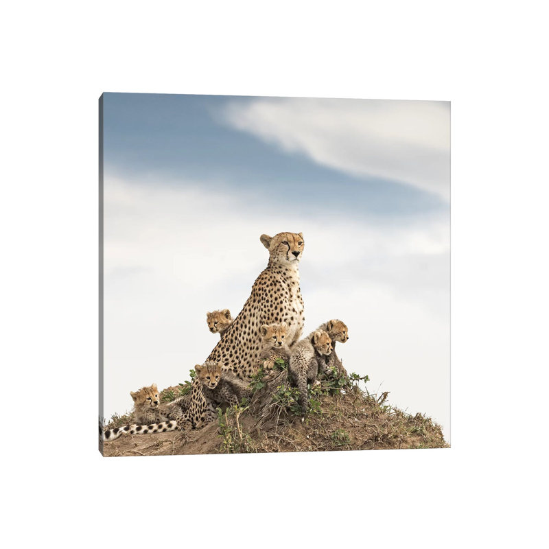 Colour Cheetah & Cubs 1 Piece Wall Art on Canvas, 66.04 cm H x 66.04 cm W x 1.91 cm D, Wrapped Canvas