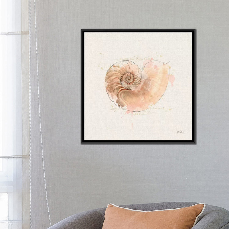 " Shell Collector II " by Katie Pertiet, 18" H x 18" W x 1.5" D, Black Framed Canvas, No Matte