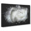 White Rose - Wrapped Canvas Print-56640972
