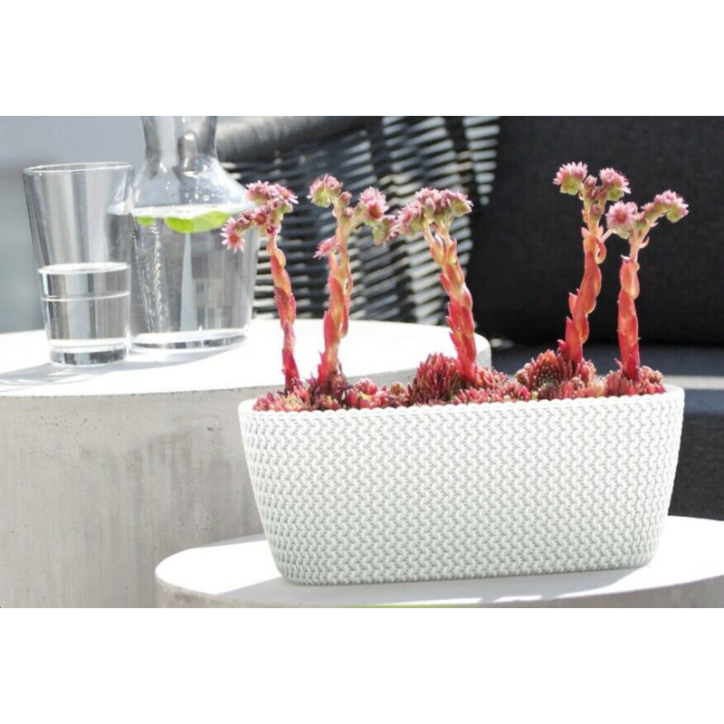 Felicisima Pot Planter