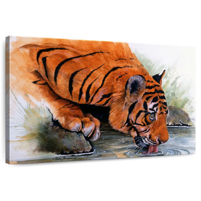 Brampt Tiger Drinking