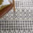 Lia Fringe Shag Performance Southwestern Rug-2010710059