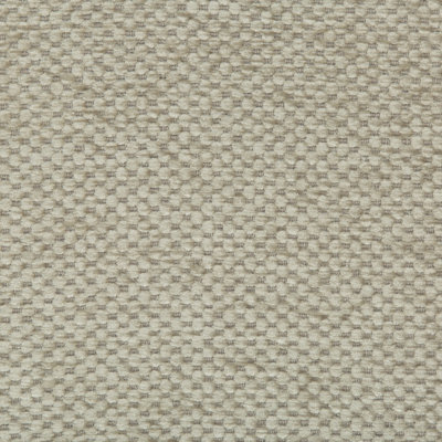 Performance Crypton Home Fabric
