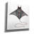 'Eagle Ray 2' by Stellar Design Studio, Canvas Wall Art-1495013774