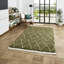 Pechler area rug Machine Woven Green-998175320