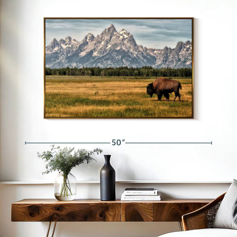 Bull Bison à Grand Teton, Cadre flottant doré, 40 po x 27 po