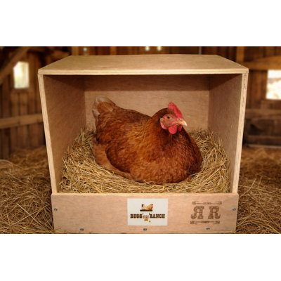 Rugged Ranch Studio Wooden Nesting Box