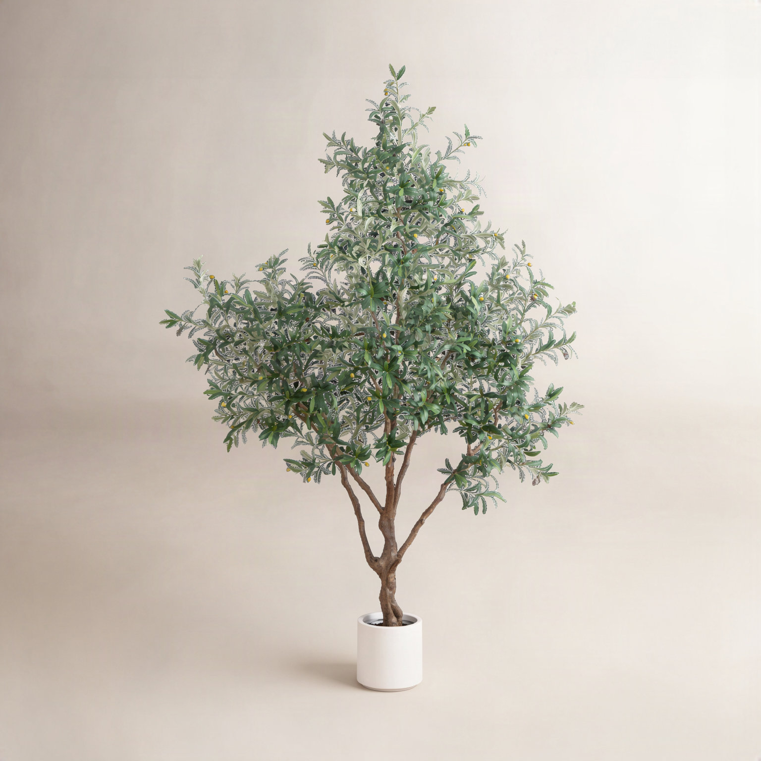Decota Olive Tree in Planter, 96" H x 48" W x 10" D