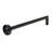 Shower Arm-55799673