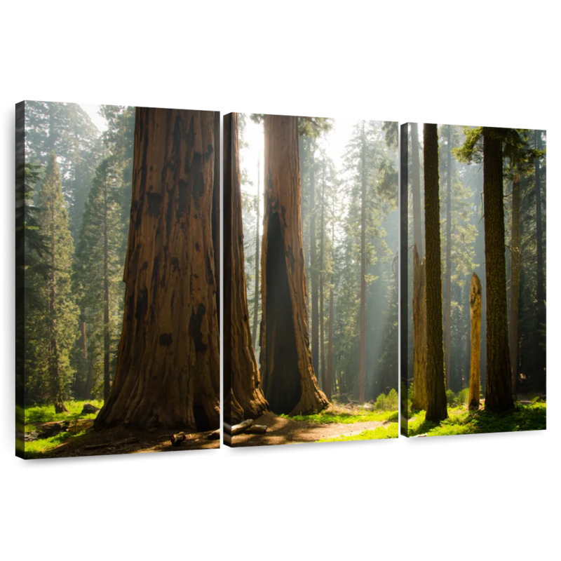 Harnek Kings Canyon Redwood, 32" H x 50" W
