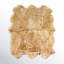 Lalo Sheepskin Area Rug in Cream-1538567558