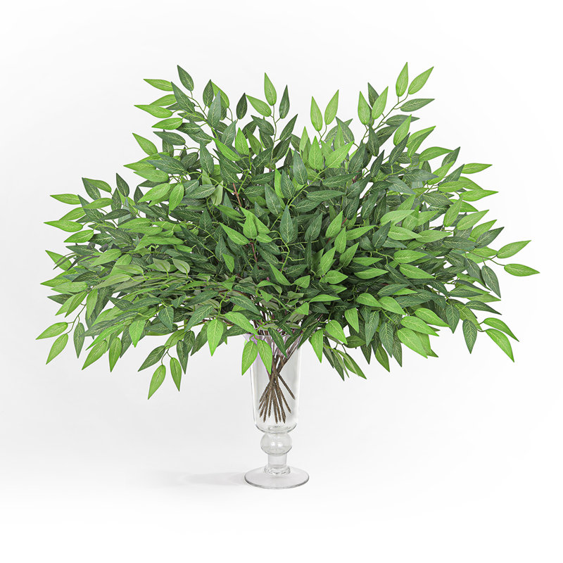 Ruscus artificiel italien Smilax