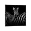 " Two Zebras In Black & White I " by Lukas Holas-29172352-72782873-72782874