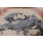 Nature Print Ivory Abstract Modern Rug 5x7