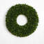 Faux Boxwood Plastic 24'' Wreath