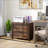 File Cabinets: 2-Drawer Lateral Lockable with Adjustable Bar for Letter/A4/Legal, Walnut Brown | Modern | Office