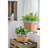 Set Of 2 Rectangular Basket Planters With Geometric Trim, L:10.5X8.5X8" S:7.5X5.5X6.5"
