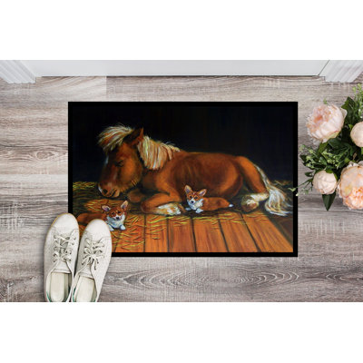Non-Slip Outdoor Doormat