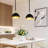 Single Head Hemispherical Iron Chandelier